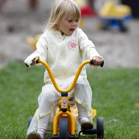 SNO218960296029_2-550x550-1