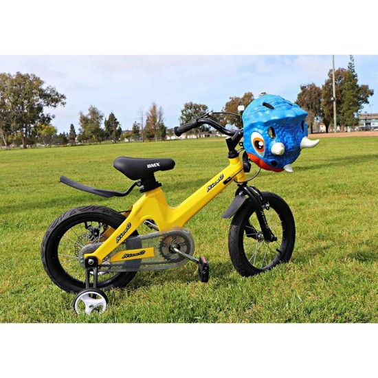 SNO218960906090_6-550x550-1