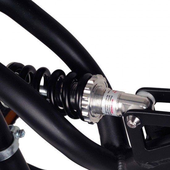 SNO218961246124_1-550x550-1