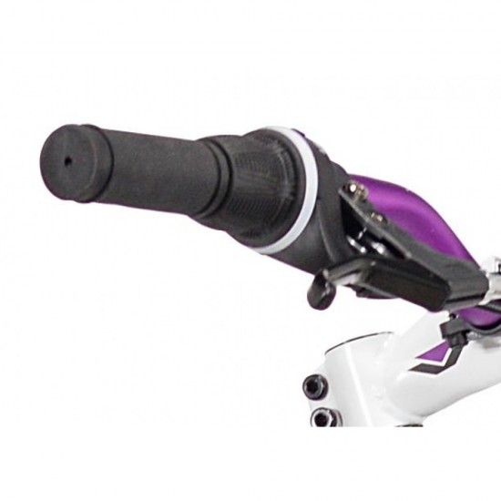 SNO218961256125_3-550x550-1