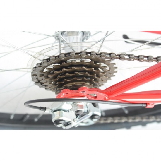 SNO218961576157_2-550x550-1