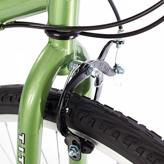 SNO218962066206_5-550x550-1