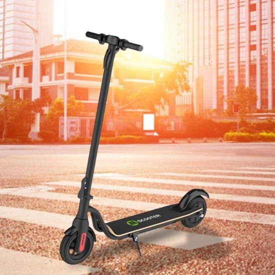 SNO218963056305_5-550x550-1