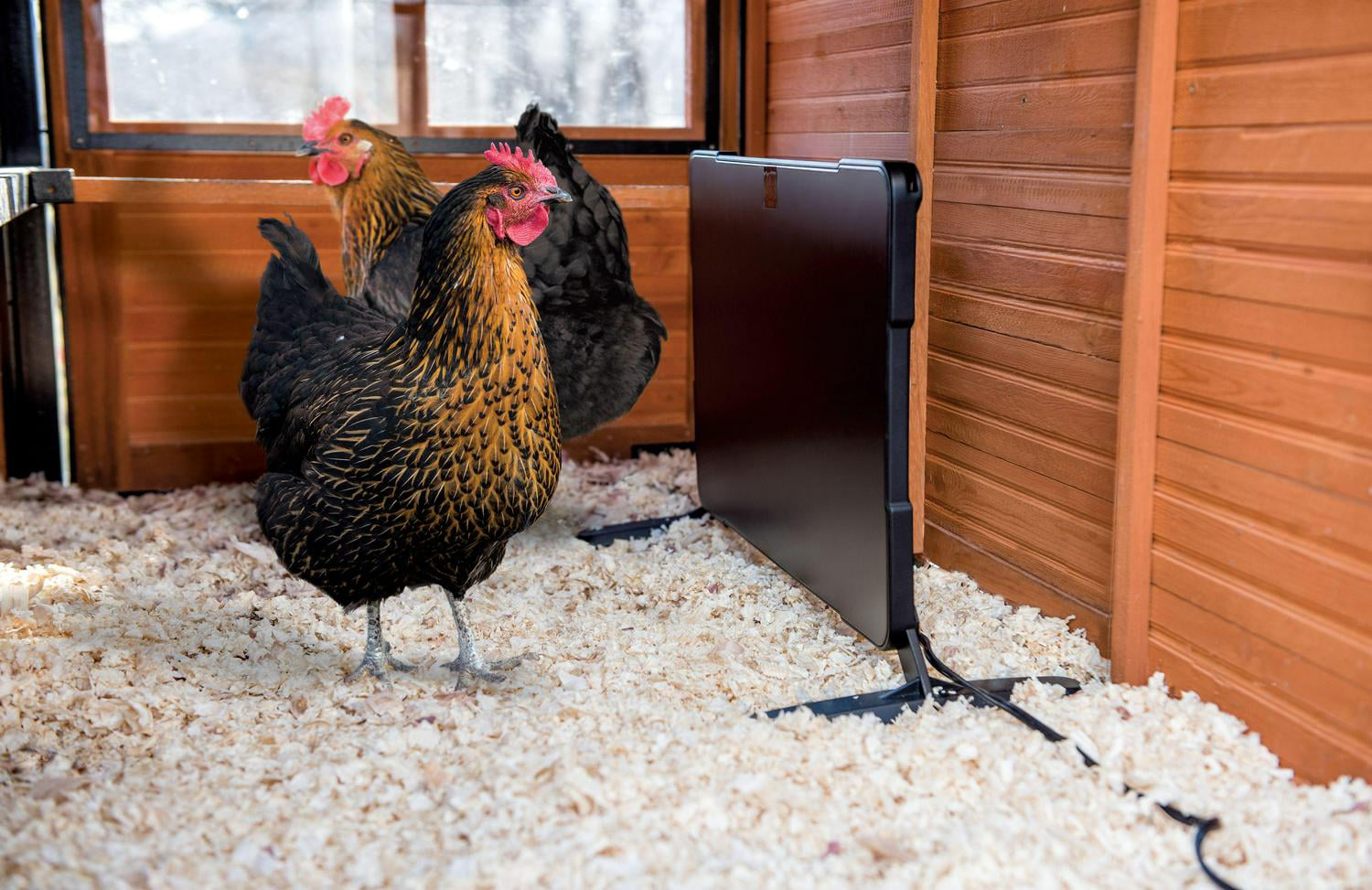 00C7EBBB-4185-F29E-54F2-E3EC8D4026E5