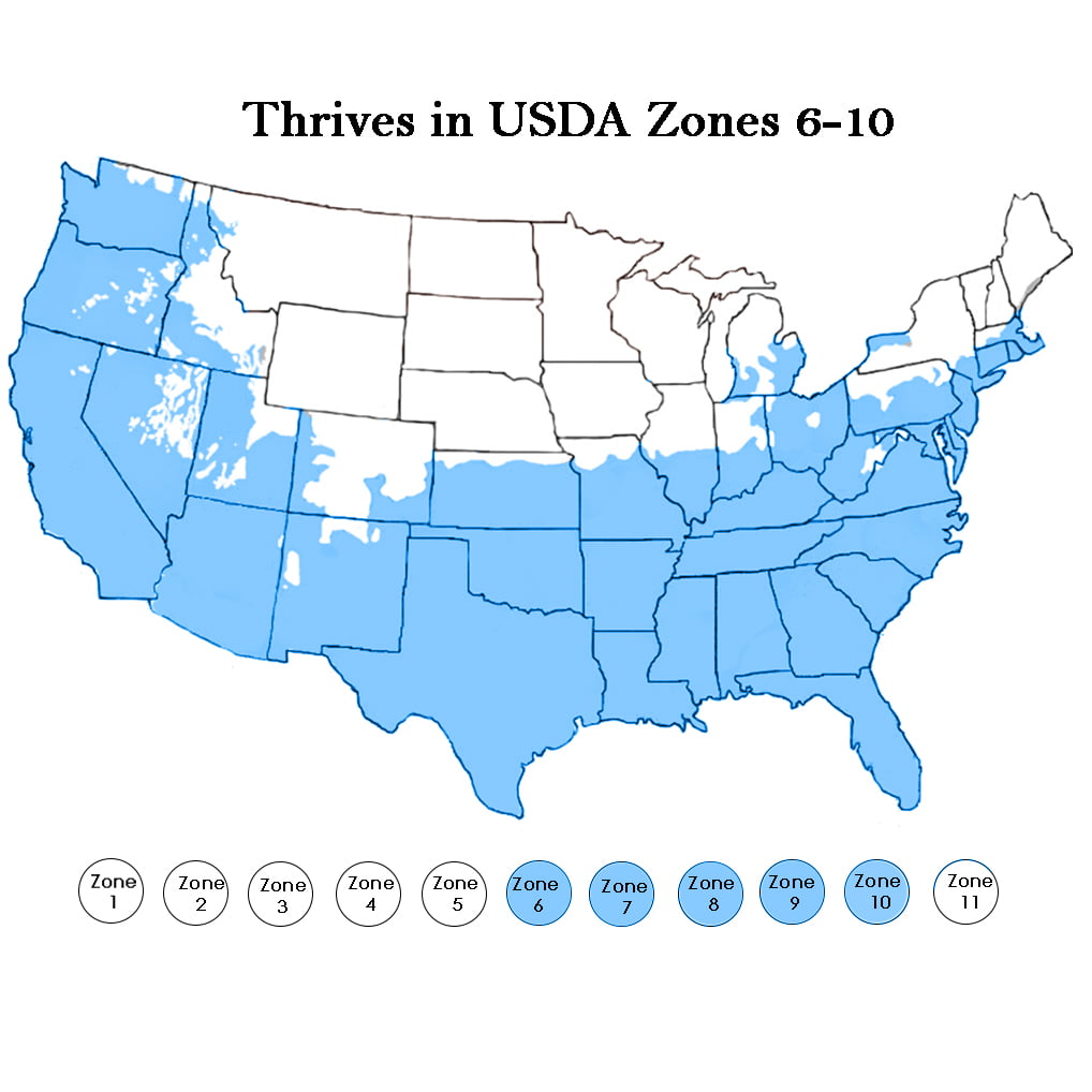 04281089-95FC-4EF2-410C-7512AC8FD295