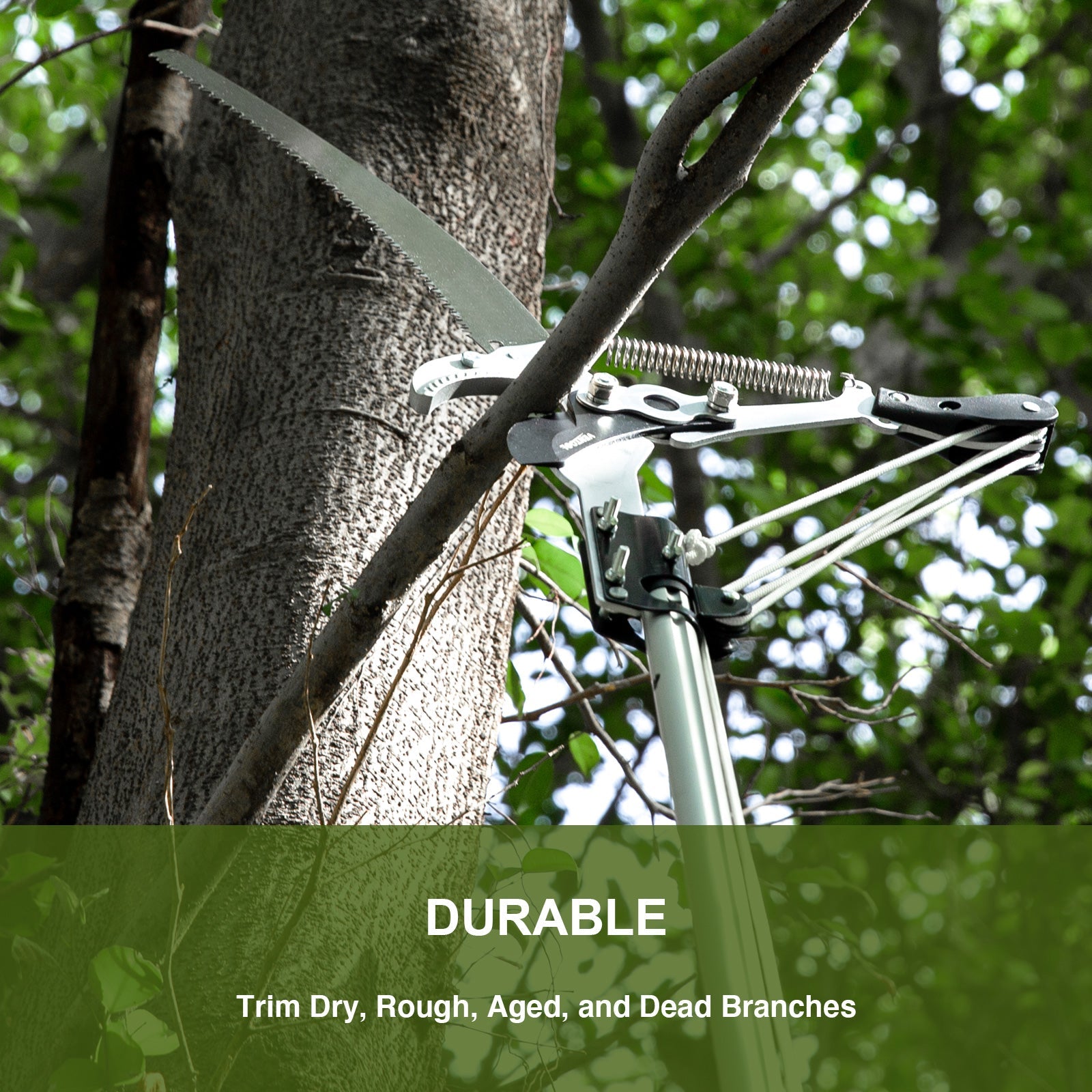 078DDB63-533B-FDD3-2E5A-4FE4A5F32126