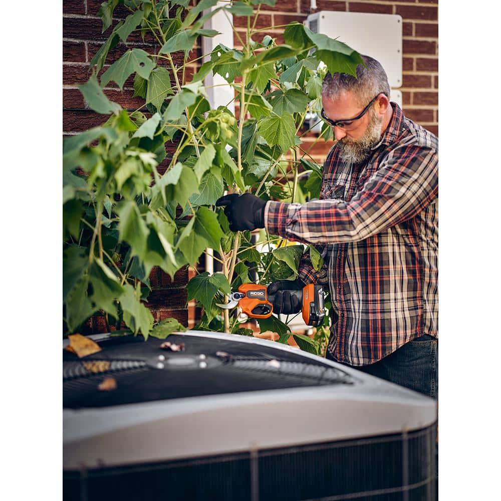 1504ECCE-E50A-B508-9B80-CF2640CB465A