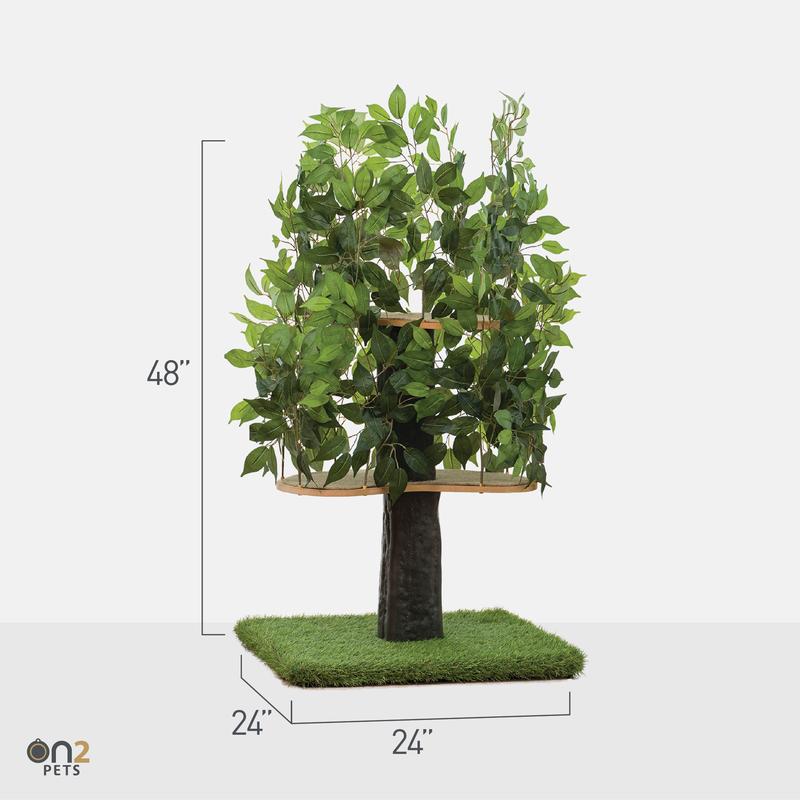 20297B3A-DC62-C7BB-774A-92056977486A