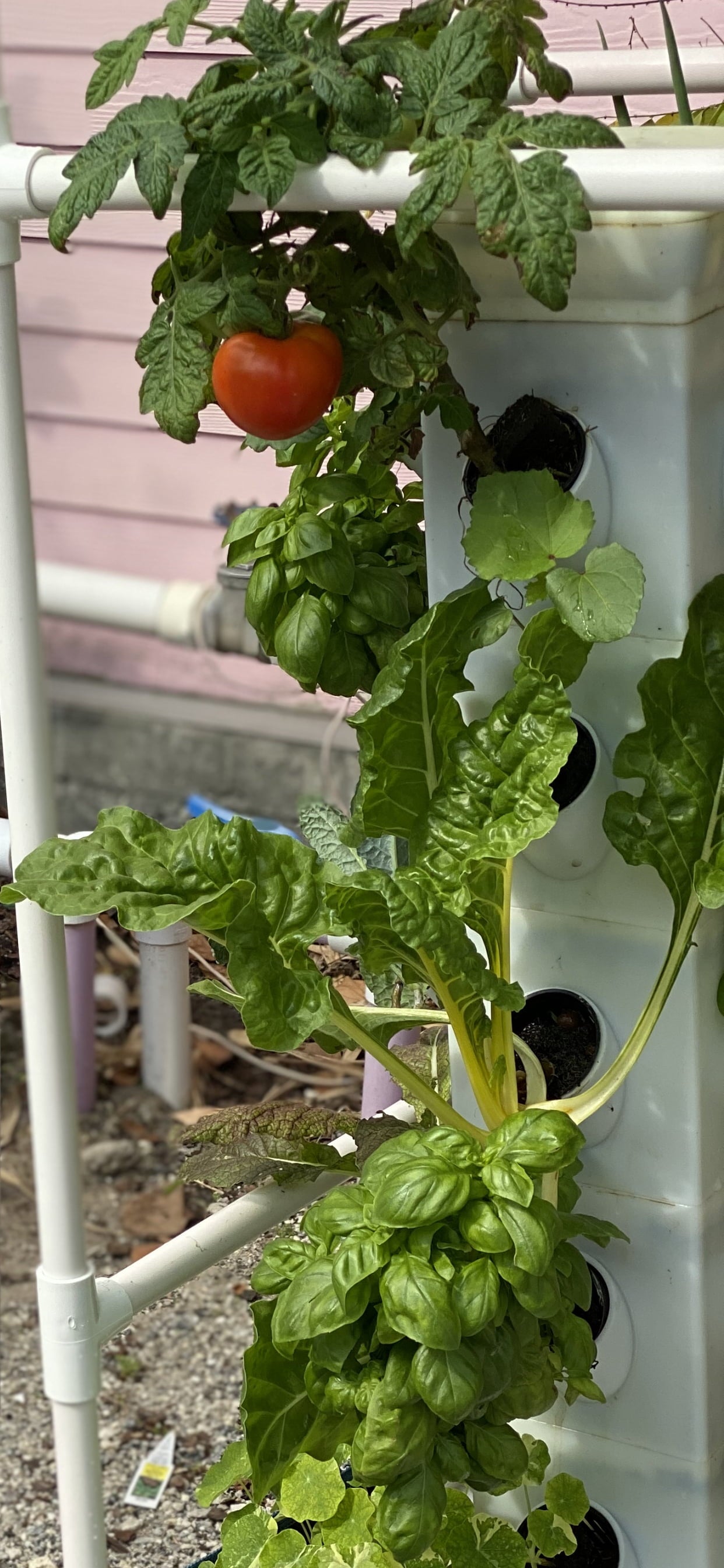 33A4377C-F841-90E5-A46A-15B202BED35B