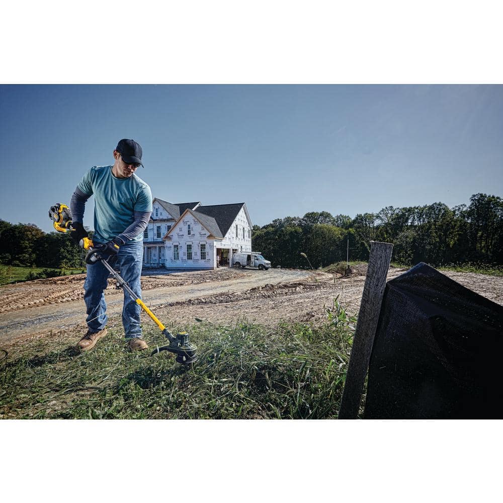 381A1C6B-CADA-7C3C-CE69-79259EAEEB16