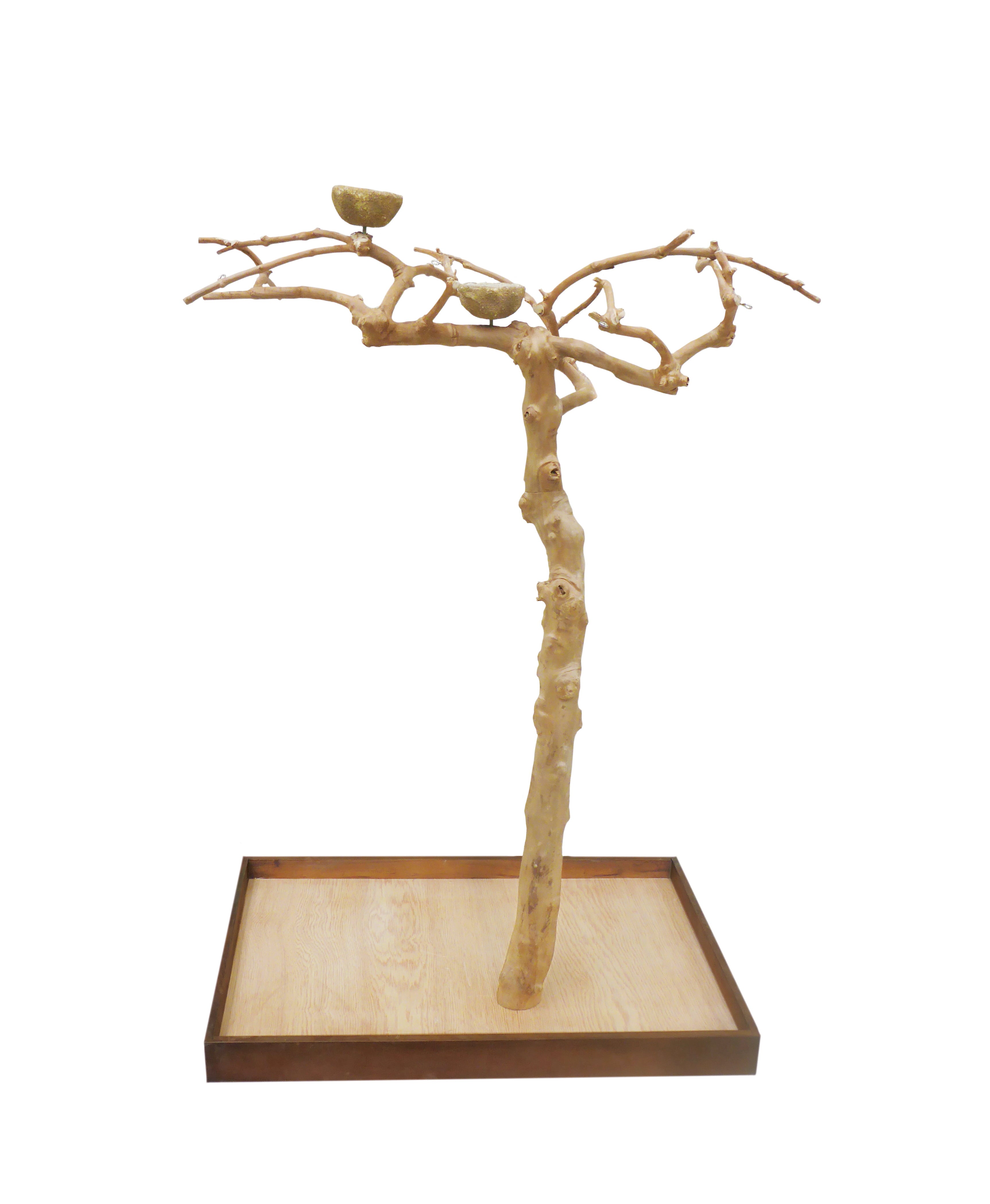 3B0E3925-819D-7972-F977-53F988521895