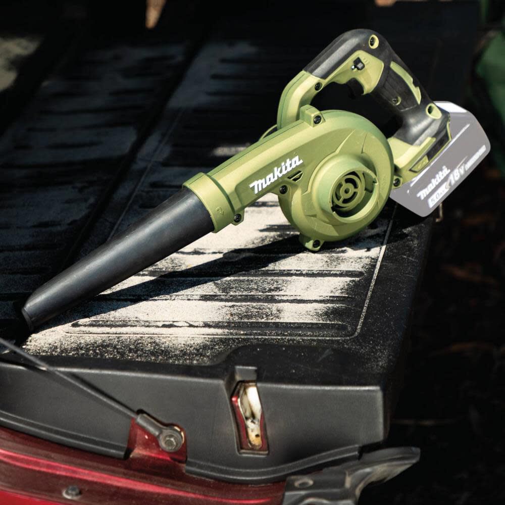 41A99049-4F52-F987-6B21-C64EDDF74BCB