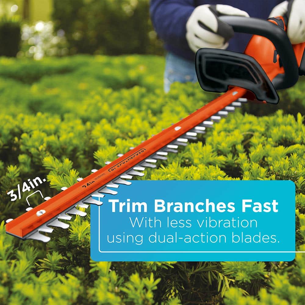 41C0B33D-B35F-40F3-DF7B-6A4BF03F8D5B