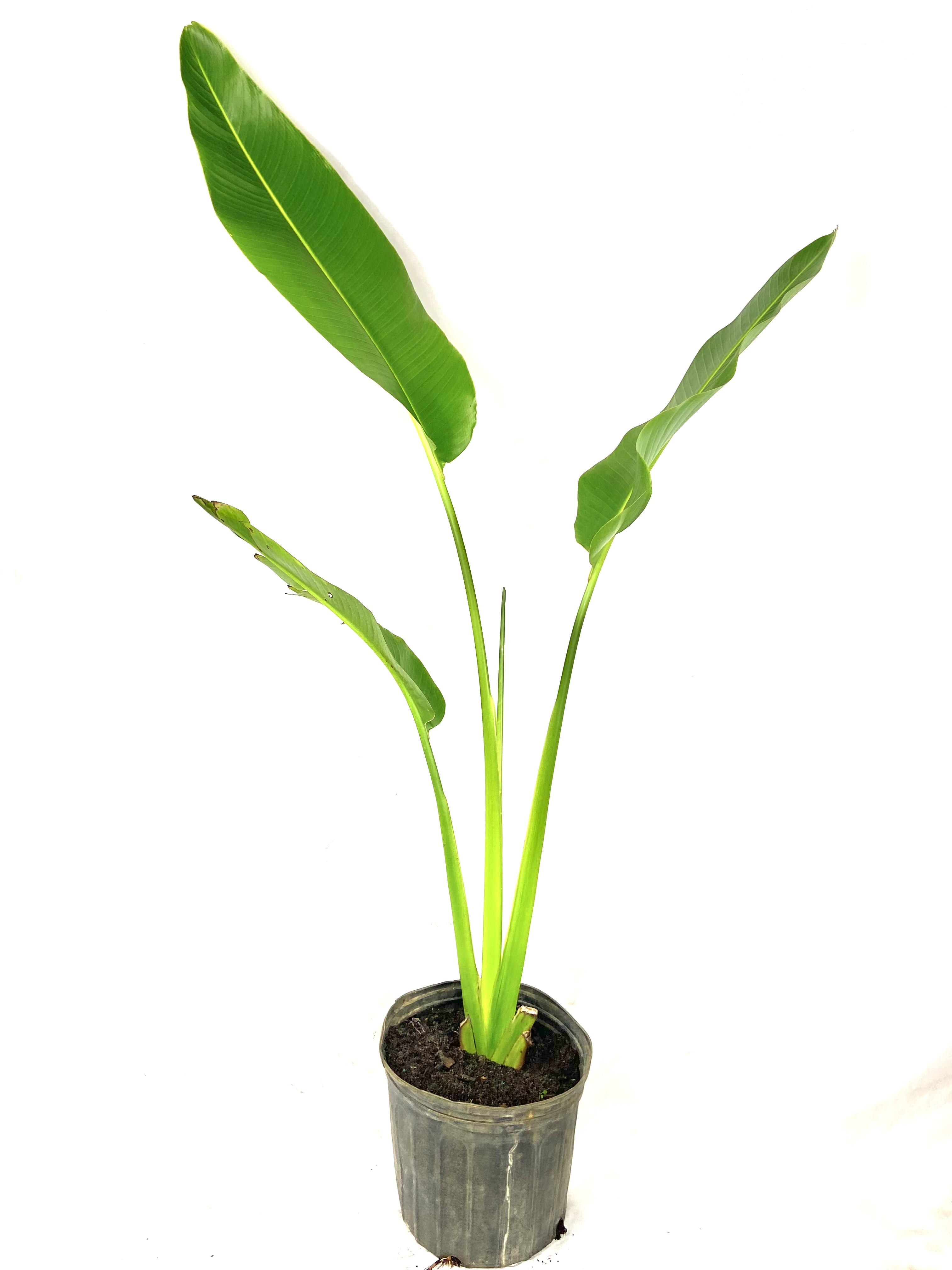 4372DB66-159B-DC8C-0A74-AF7C7735C6C9