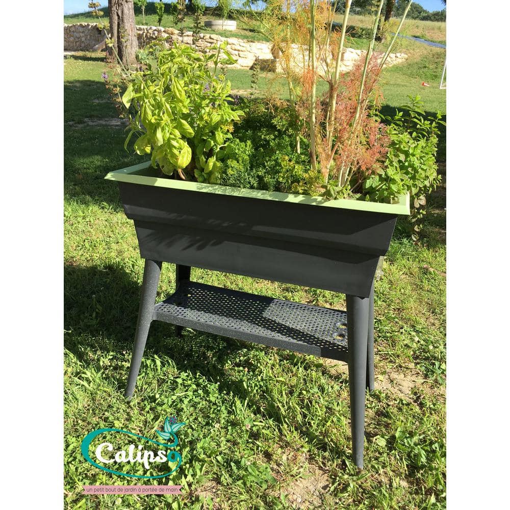 57261989-B23A-9165-3A22-683845445562