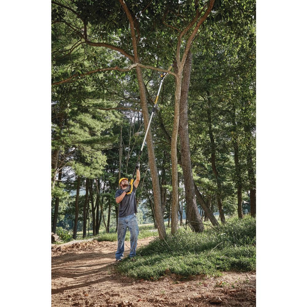 62E6963F-2DF4-2B52-AFFB-D29F5E3801F8