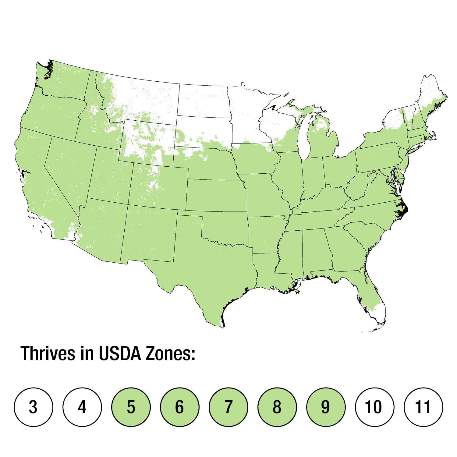 7057B6BE-C3D2-F1A6-A5B7-BB560D889E56