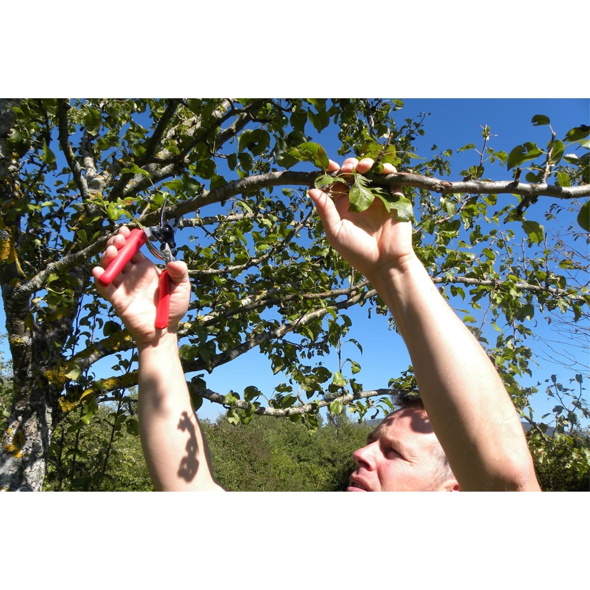 70E1542F-4B81-6F7E-86AD-9432E6F361AE