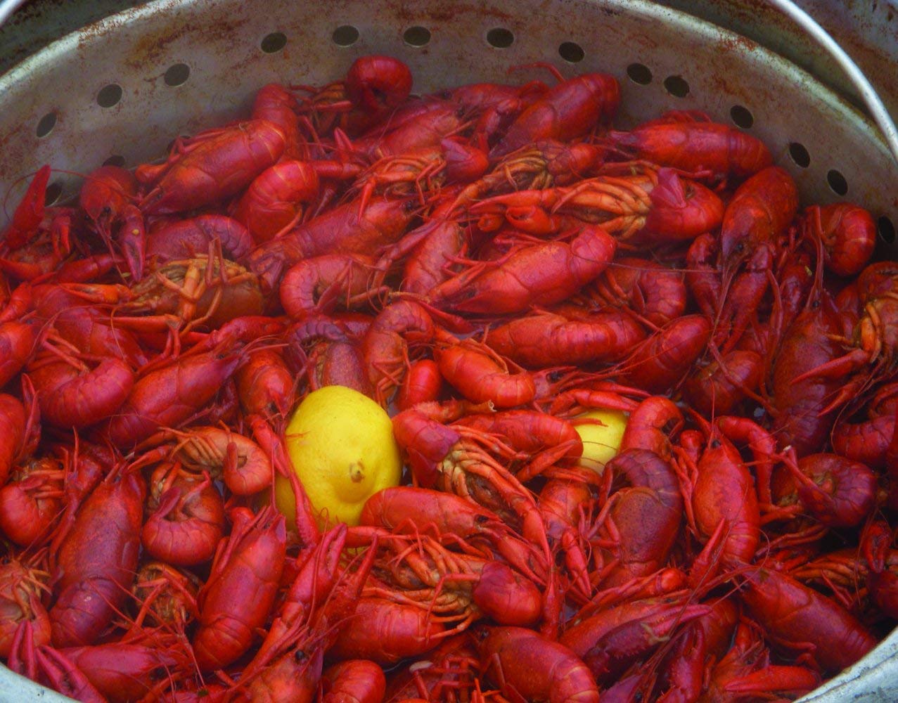 75F9ED16-1931-7F3A-587D-6AD5DA5C0E9E