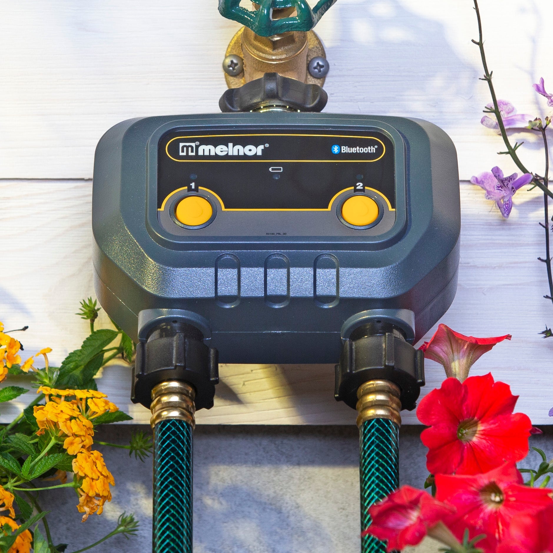 7A554F6C-8F66-62E3-DD9E-A4D20CA1A178