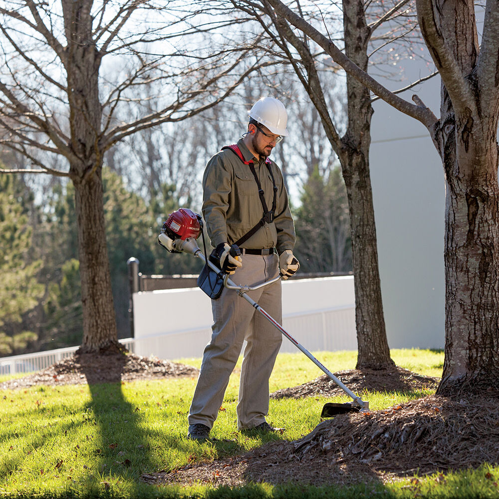 951DCE5A-EF21-63B6-5A0E-AEDD1B964FE0