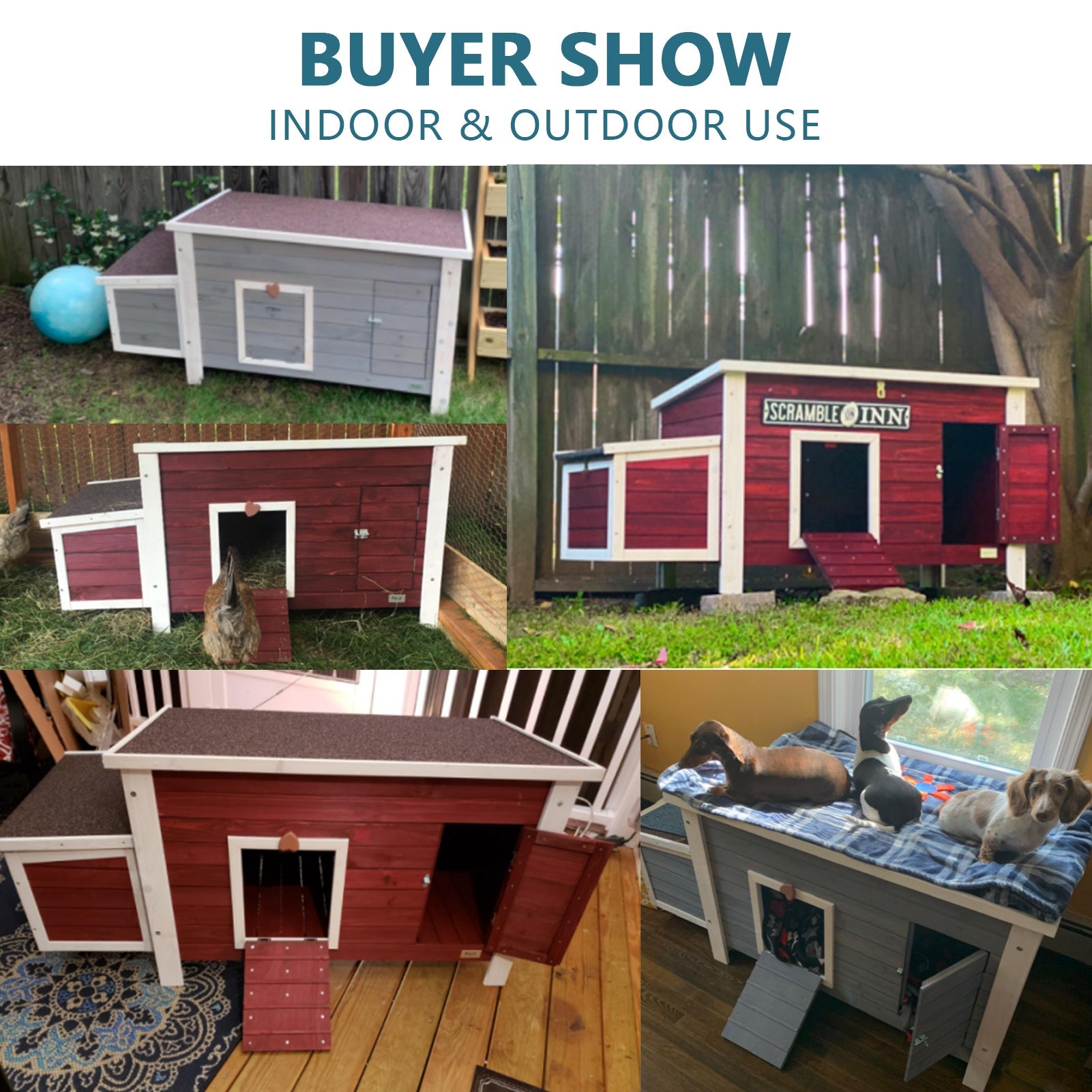 A187022A-558C-87A8-71ED-366D8E62088F