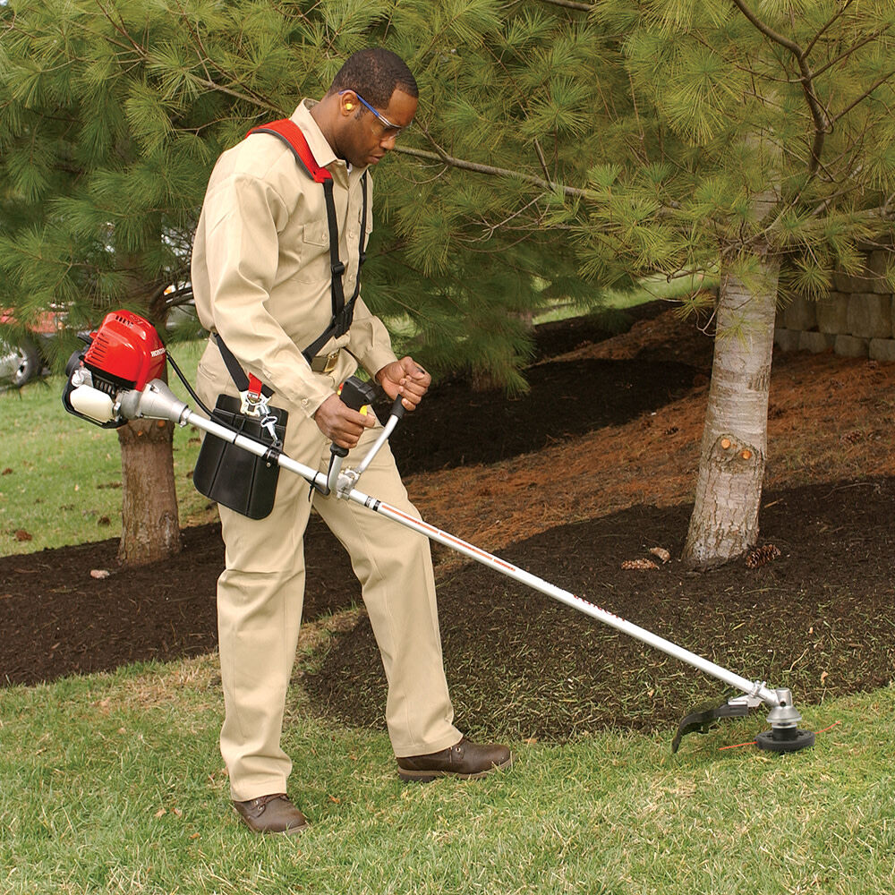 A52C4C76-BFF0-C3BC-C171-0FE2FF85025D