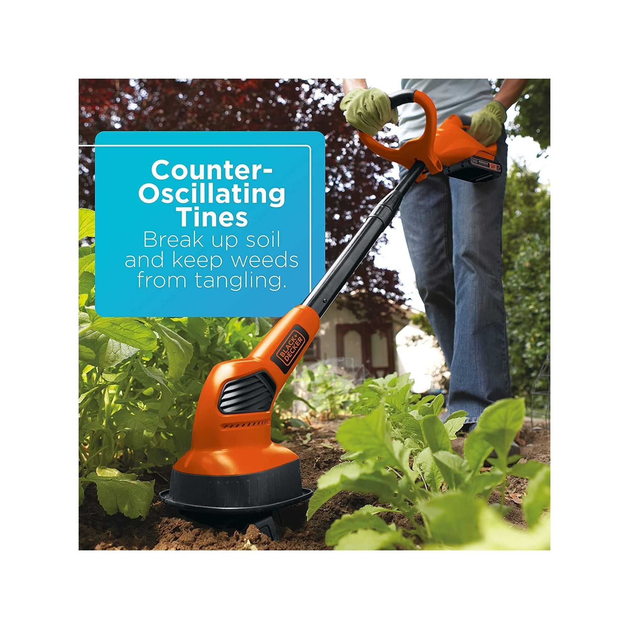 A99FBA19-2686-1E09-7818-8701848340EC