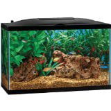 AABBD92F-EDD8-7A68-86B5-C004DE3D2986