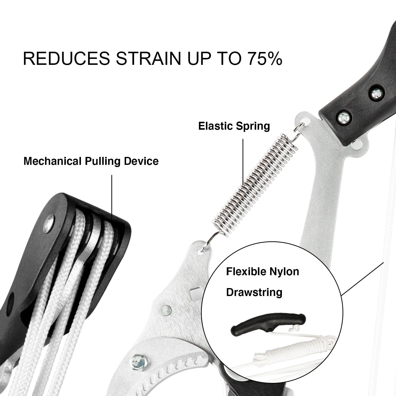 AD79A1C8-AFC7-02DF-5FA0-E59F280B8E64