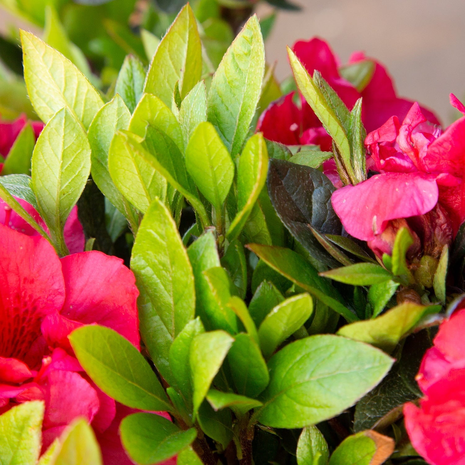 B4499638-D8B5-F192-1F2C-4A04FFDC83CF