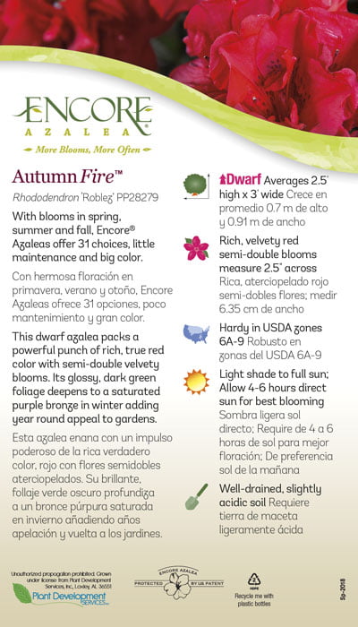 BCD0EBC5-04E7-EC2D-05CD-062C8174D73A