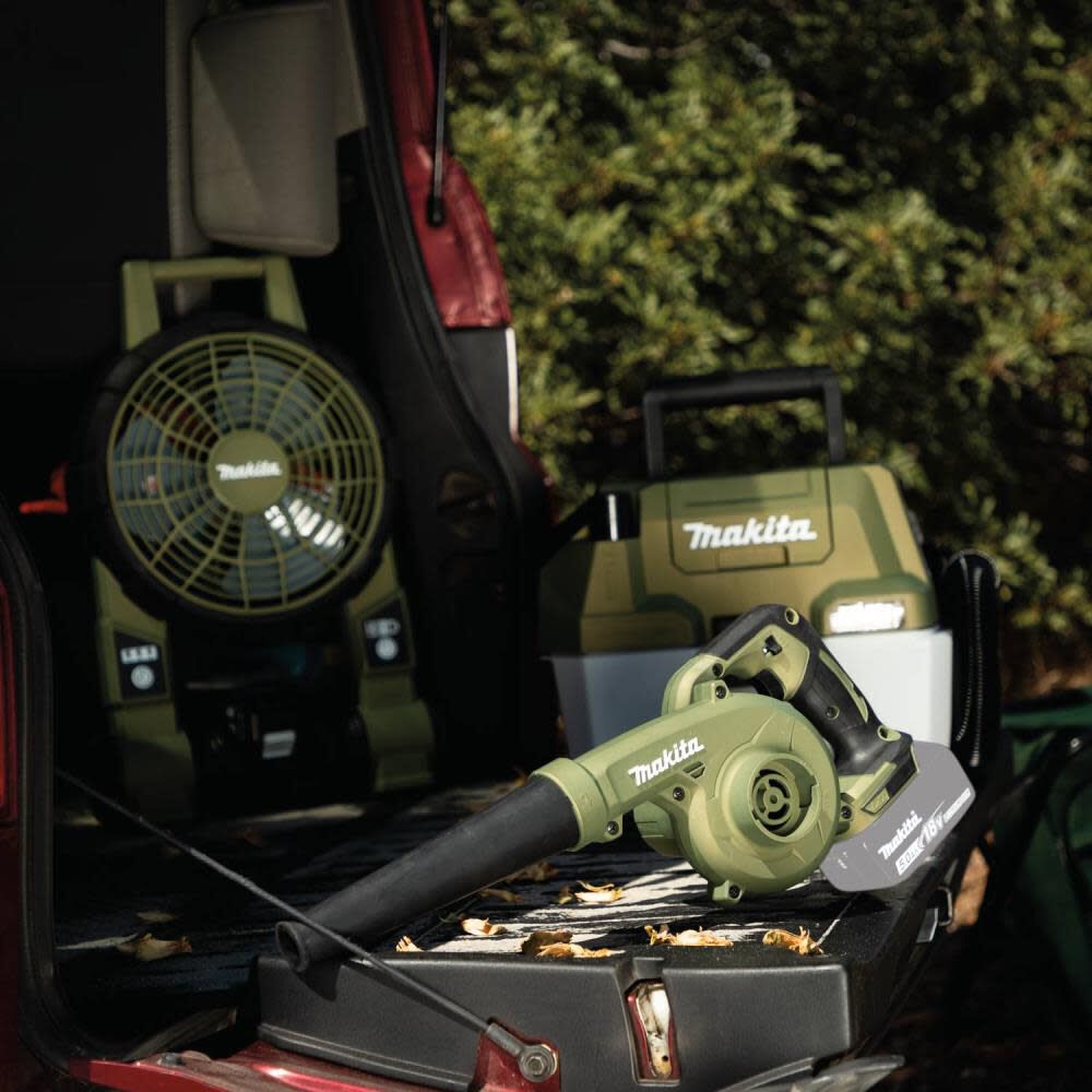 BD513ACE-D1A7-DEE3-238A-433A8FA1991E