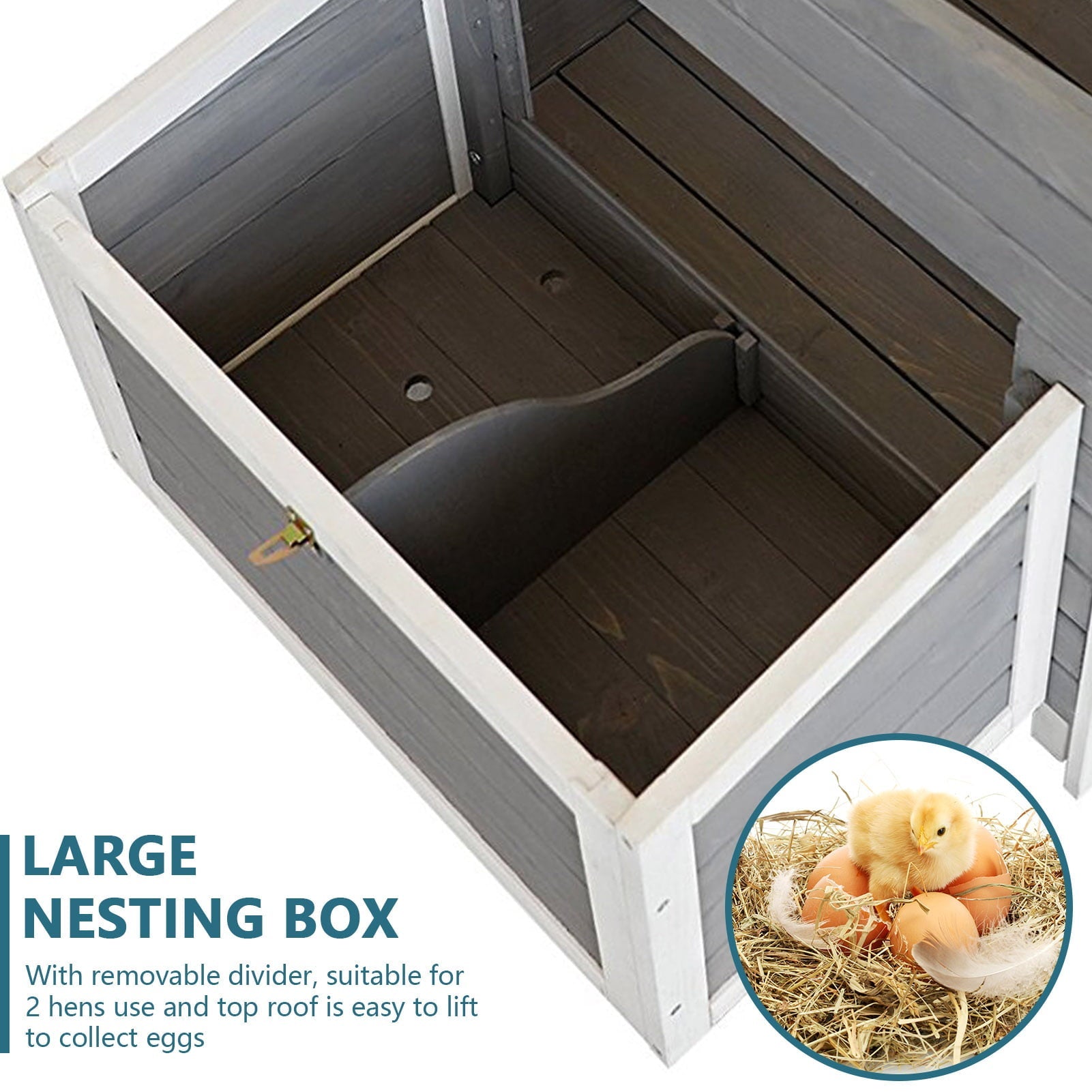 D8CD8482-0765-200C-4E6C-E43ACD28020C