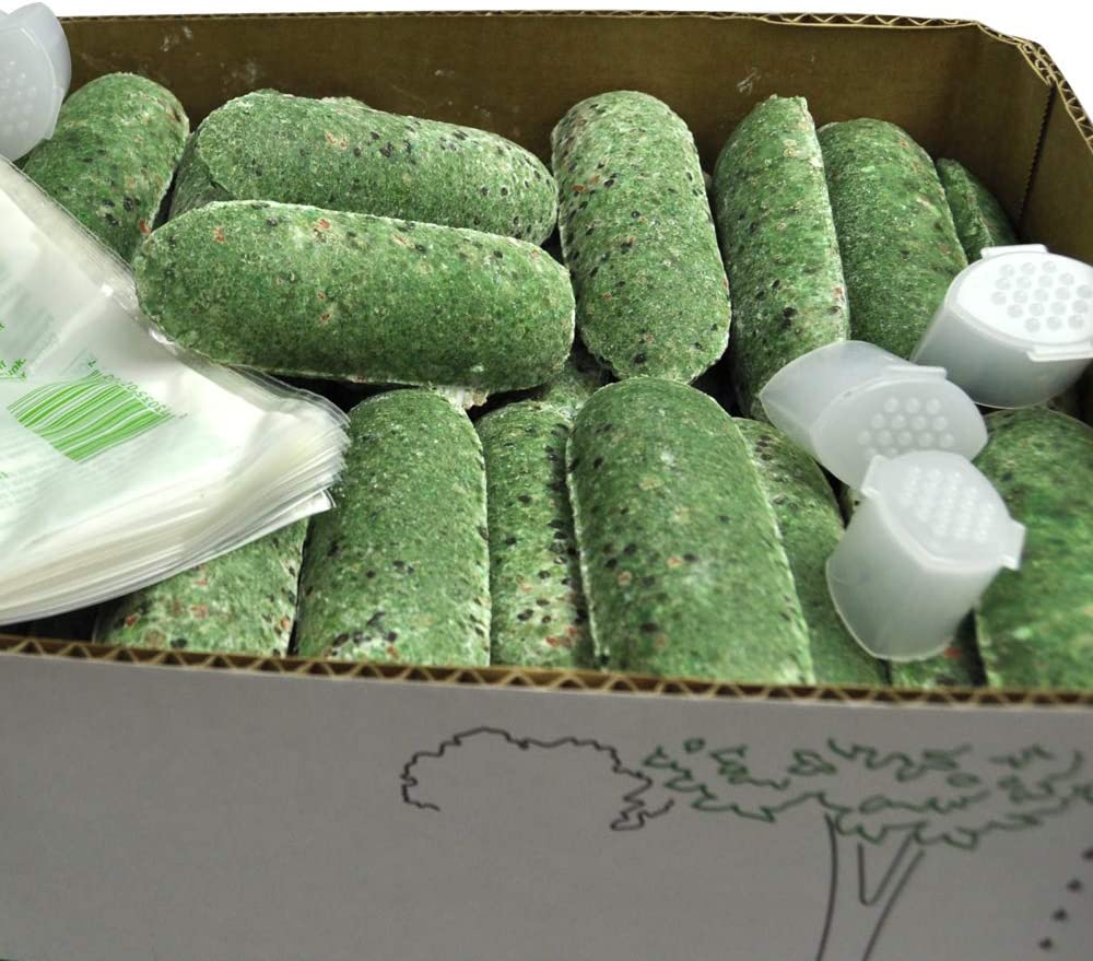 E2C7AF93-46F4-260E-C380-DB392F22868F