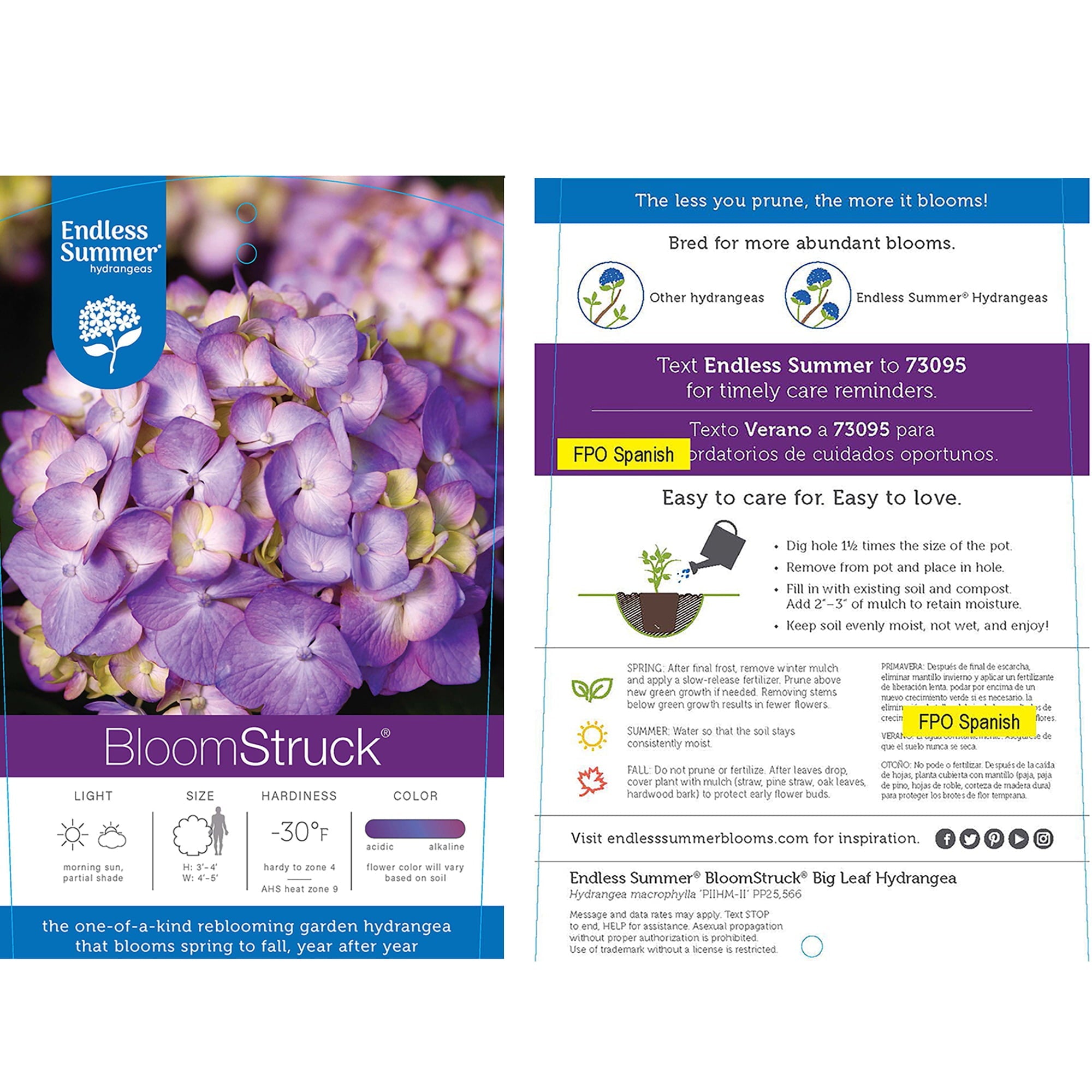 EA8770C2-E13D-9949-5E50-4C9101A85909