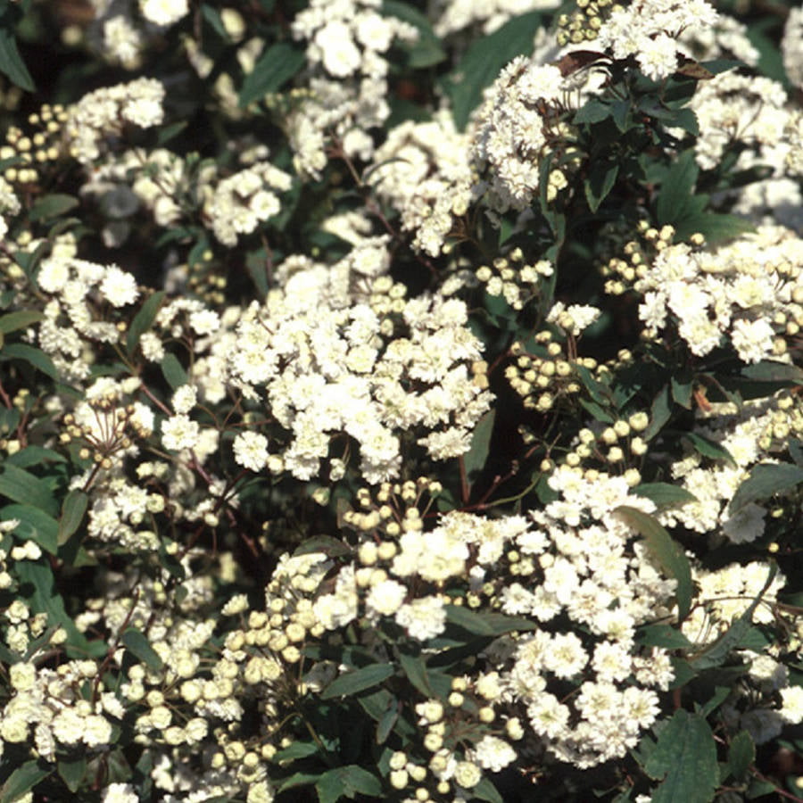 F018A7DF-54B7-3A18-3D4F-55828AE42474