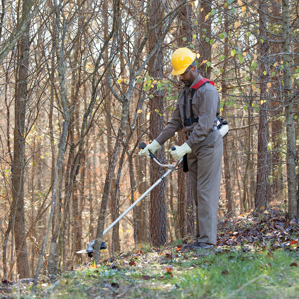 F982D24F-015F-9BD8-5852-0802E1AF575B