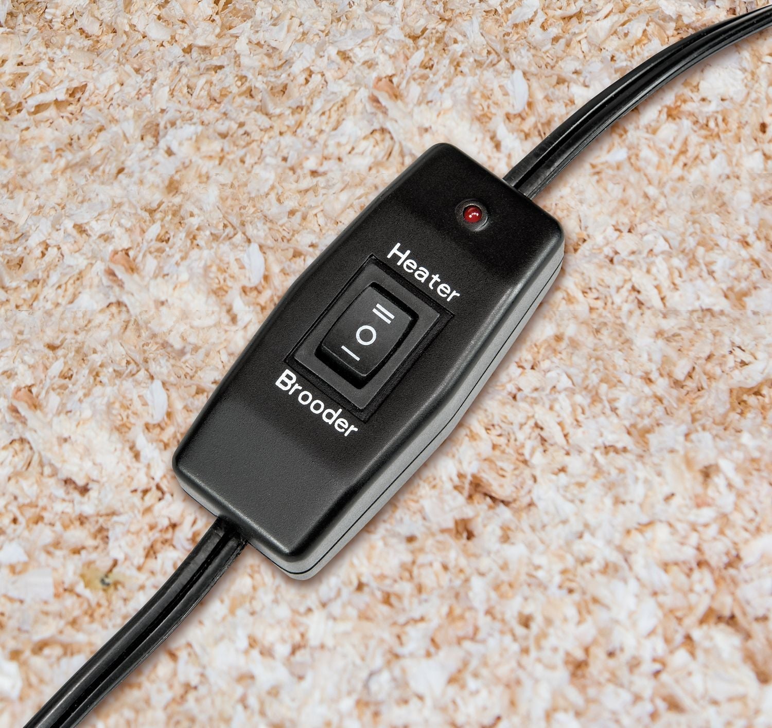 FB2FFD22-65F1-F8C3-B052-F8F46A1AA51F